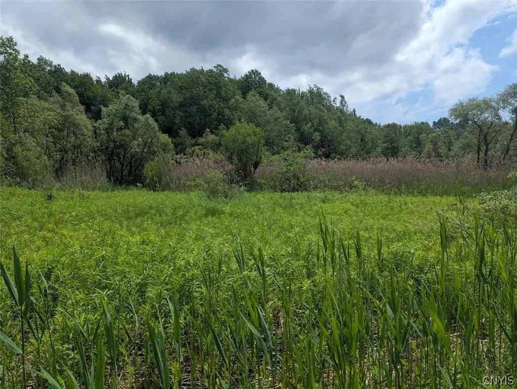 Property from 0 Tannery Road - KW - Rome, New York, 13440