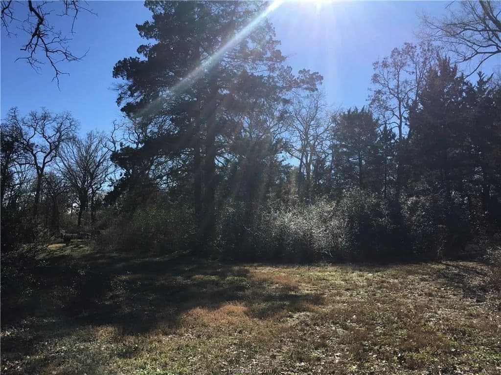 Property from 5471 Timberline Drive - KW - 77845