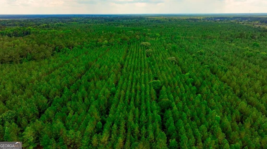 286.75 Acres of Land for Sale in Pembroke, Georgia - Pembroke, Georgia, 31321