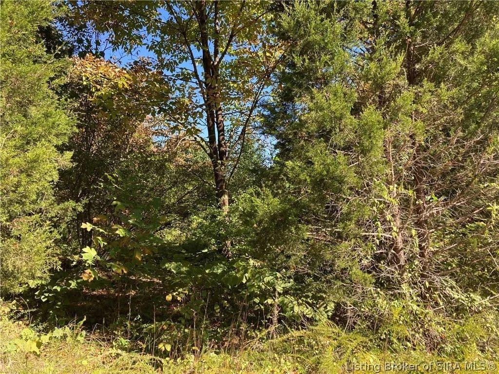 Property from Lots 64-71 S White Oak Drive - KW - Marengo, Indiana, 47140