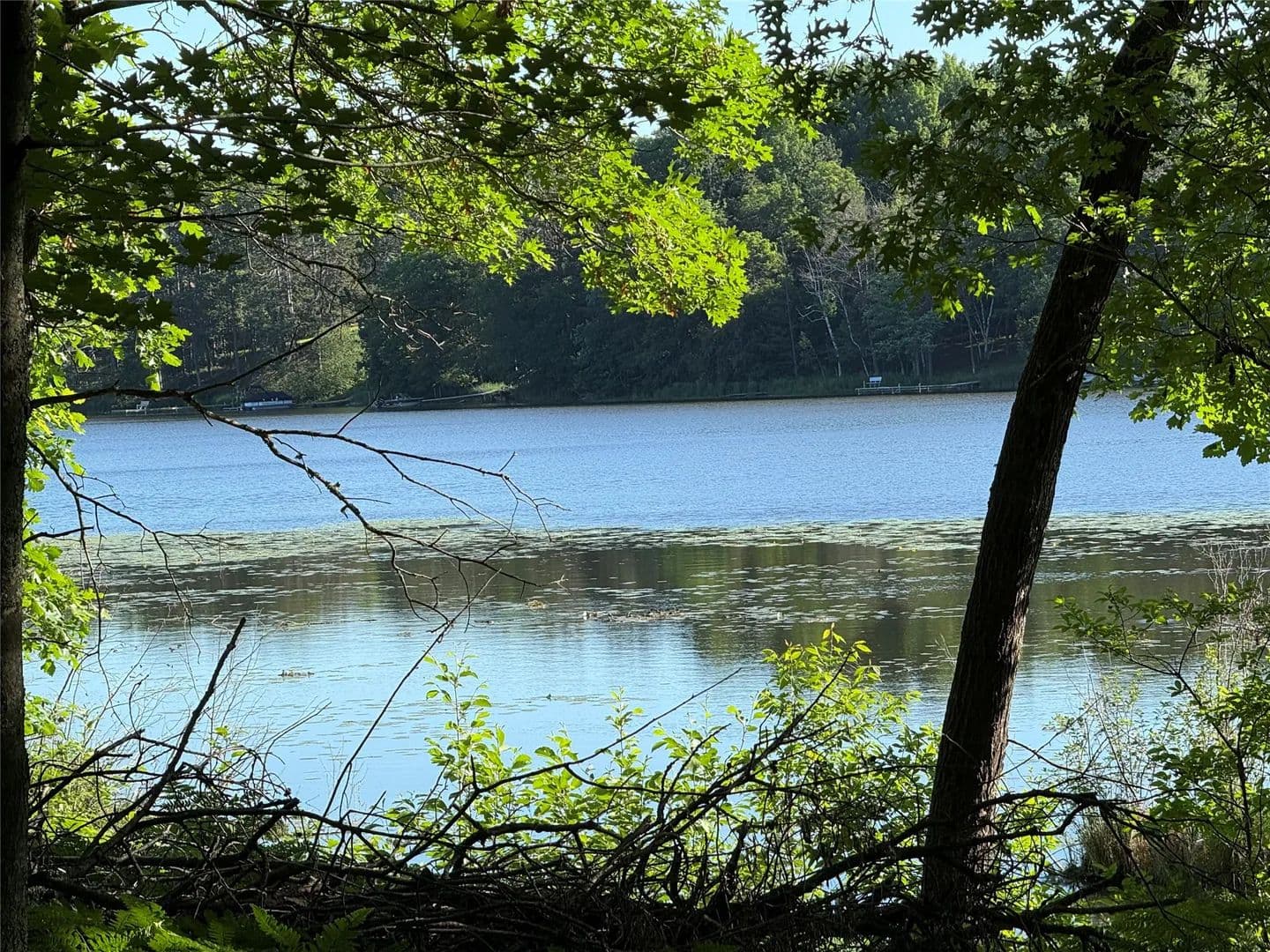 14.5 Acres of Land for Sale in Shell Lake, Wisconsin - Shell Lake, Wisconsin, 54871