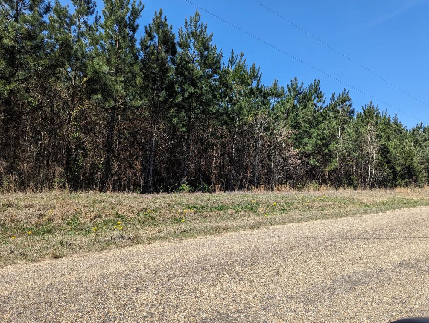 Land -Agricultural (Not Zoned) in Stephens - Stephens, Arkansas, 71764