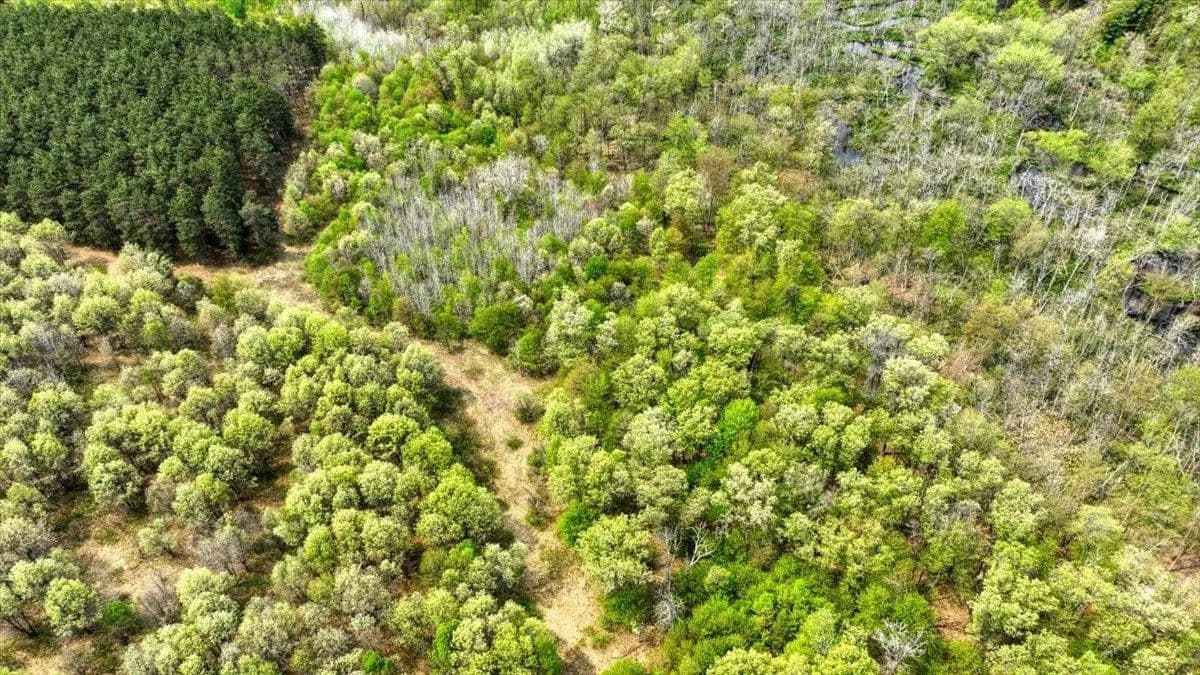 Property from Lot 14 W 6th Drive - KW - Colburn, Wisconsin, 54943