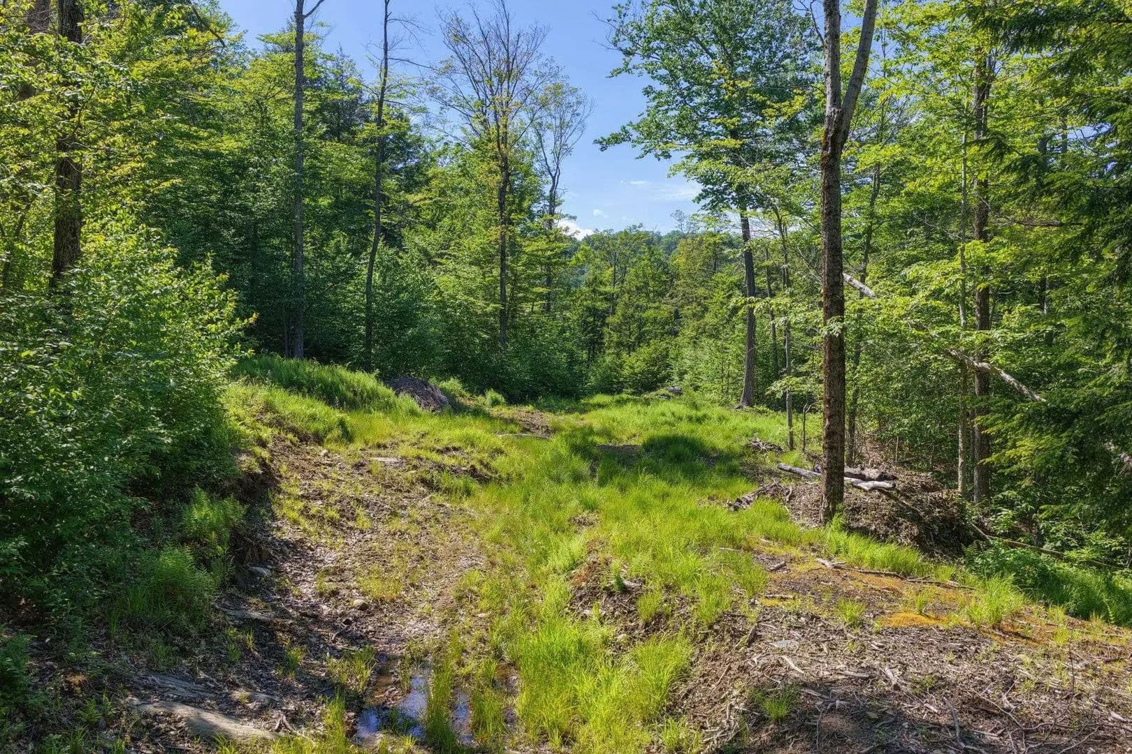 24 Acres of Land for Sale in Marlboro, VT - Marlboro, Vermont, 05344