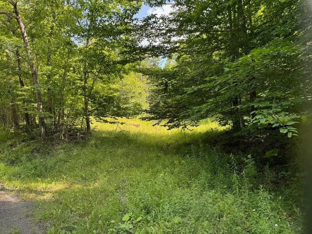 Property from 130 William Law Road - KW - Windsor, New York, 13865