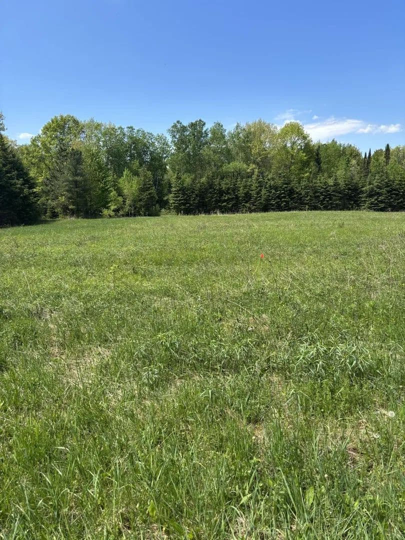 1.6 Acres of Land for Sale in Ladysmith, Wisconsin - Ladysmith, Wisconsin, 54848