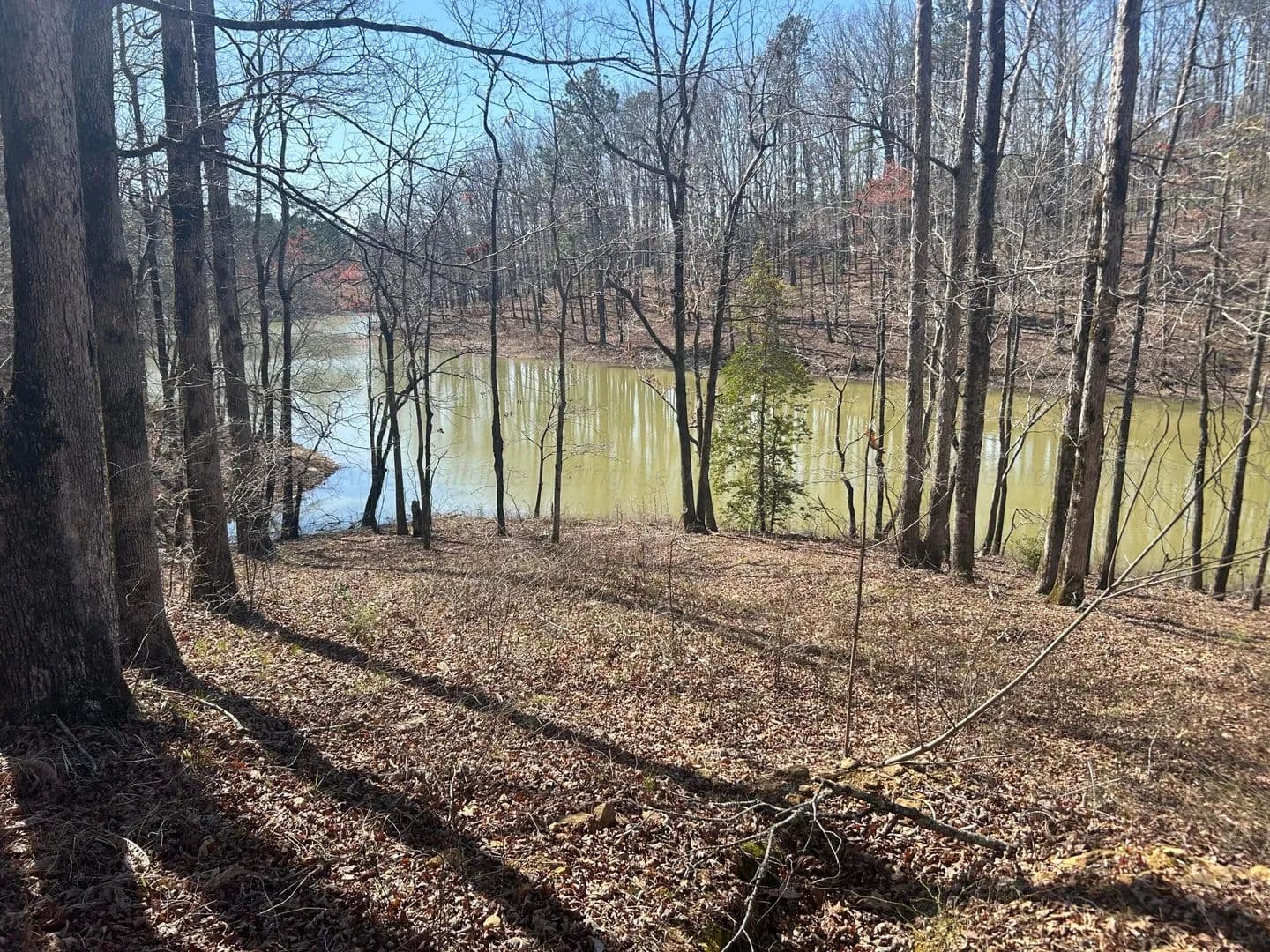 Property from LOT 56 SHORESIDE AT SIPSEY - KW - Double Springs, Alabama, 35553