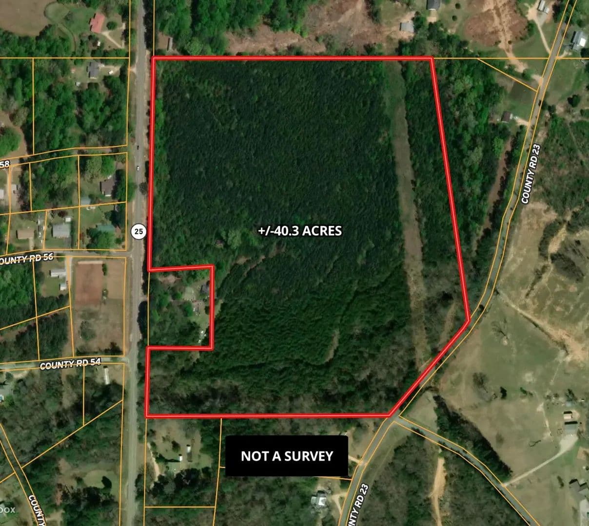 Property from Hwy 25 - KW - Dennis, Mississippi, 38838