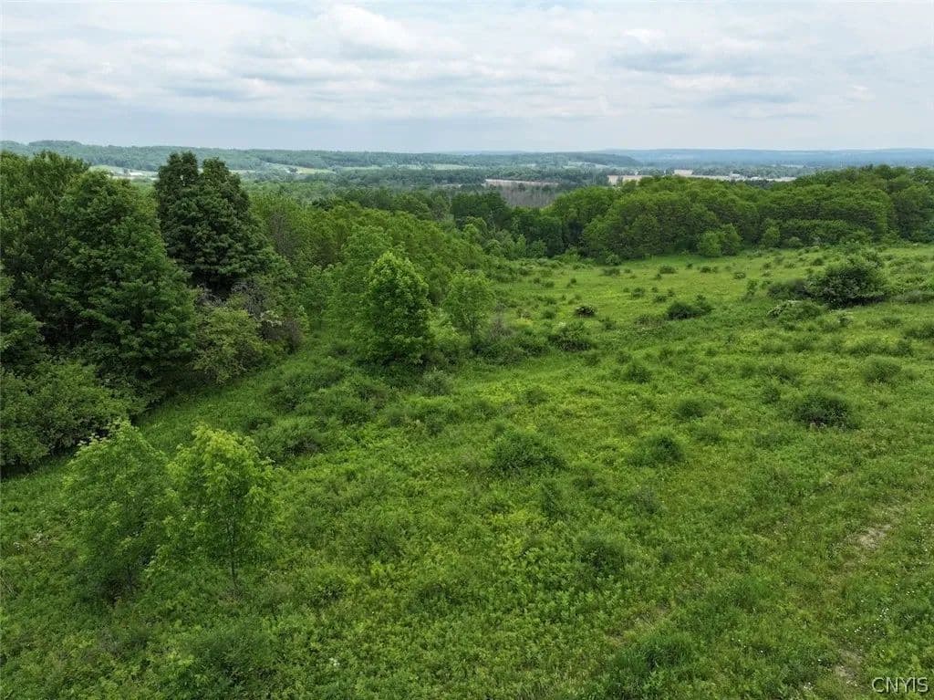 23 Acres of Land for Sale in South Dayton, NY - South Dayton, New York, 14138