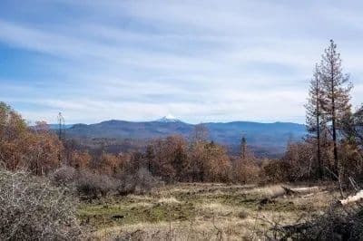 453 acres Butte Falls Hwy