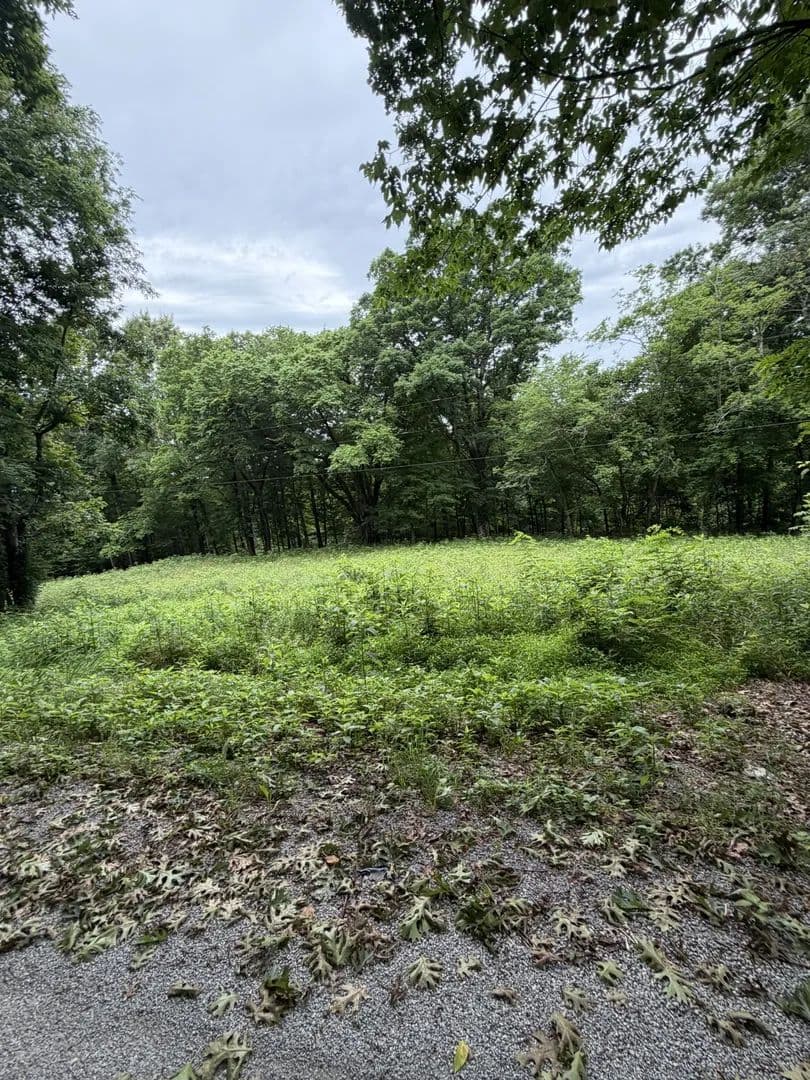 Property from 1299 Dixon Town Rd - KW - Prospect, Tennessee, 38477