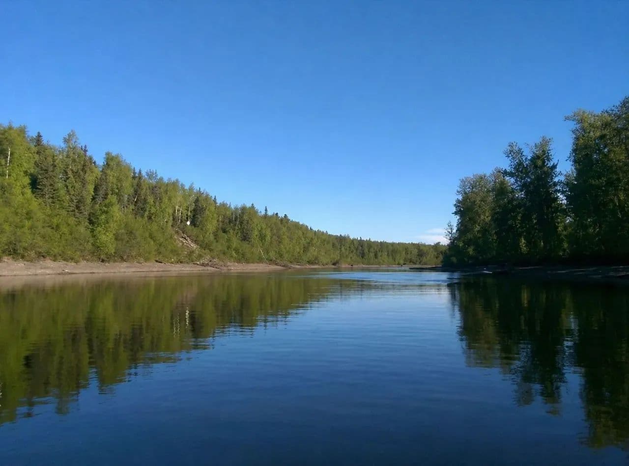 130.36 Acres 7-Lots of pristine Alaskan wilderness - land for sale