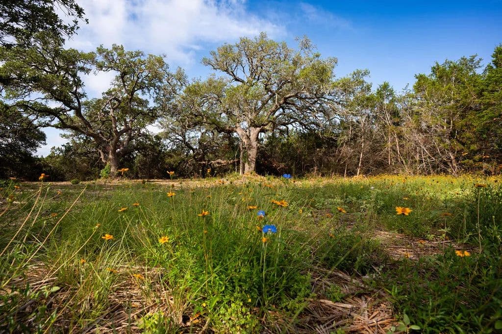 Property from TBD Gatlin Creek Road - KW - Dripping Springs, Texas, 78620
