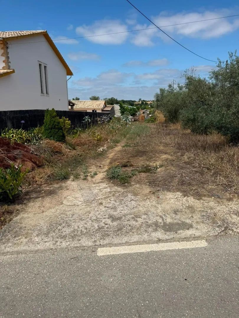 805 Acres of Land for Sale in São Martinho de Árvore e Lamarosa, Coimbra - Portugal