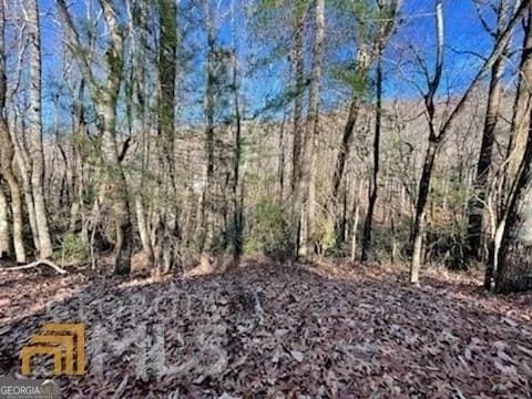 Property from 0 Rebel Circle #LOT 3 - KW - Sky Valley, Georgia, 30537