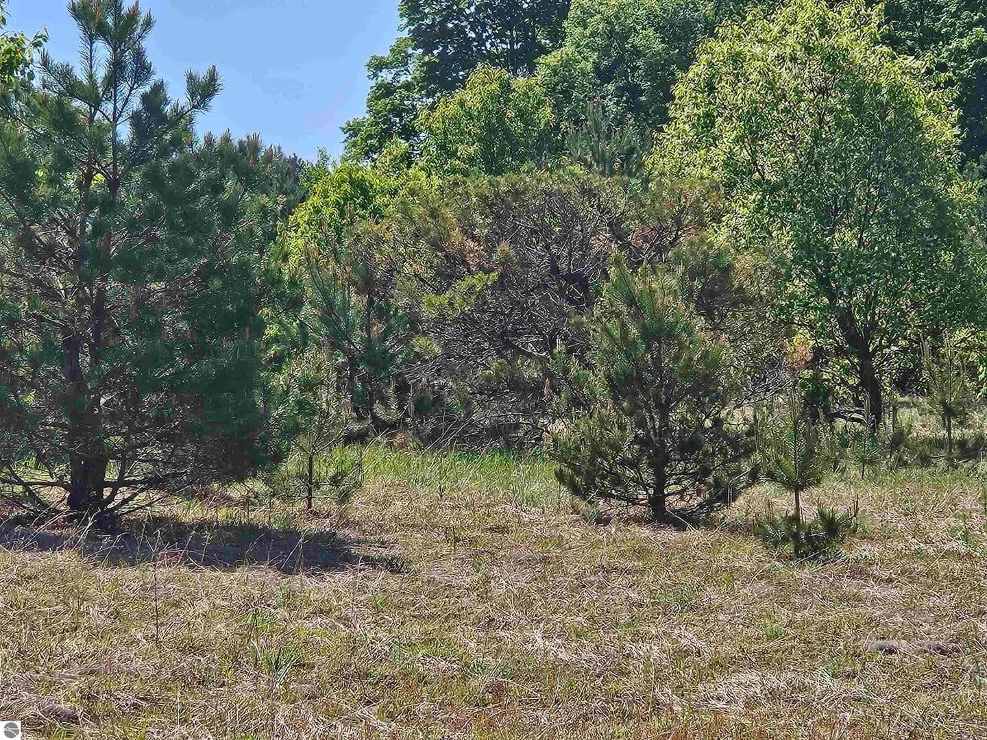 Property from V/L Parcel C SE Grass Lake Road - KW - Kalkaska, Michigan, 49646