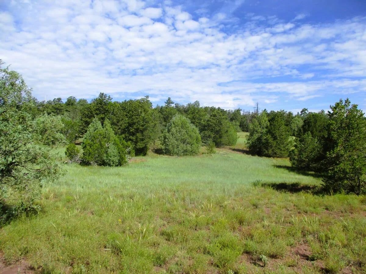Property from Lots 5 & 6 Black Bear Road - KW - Ramah, New Mexico, 87321