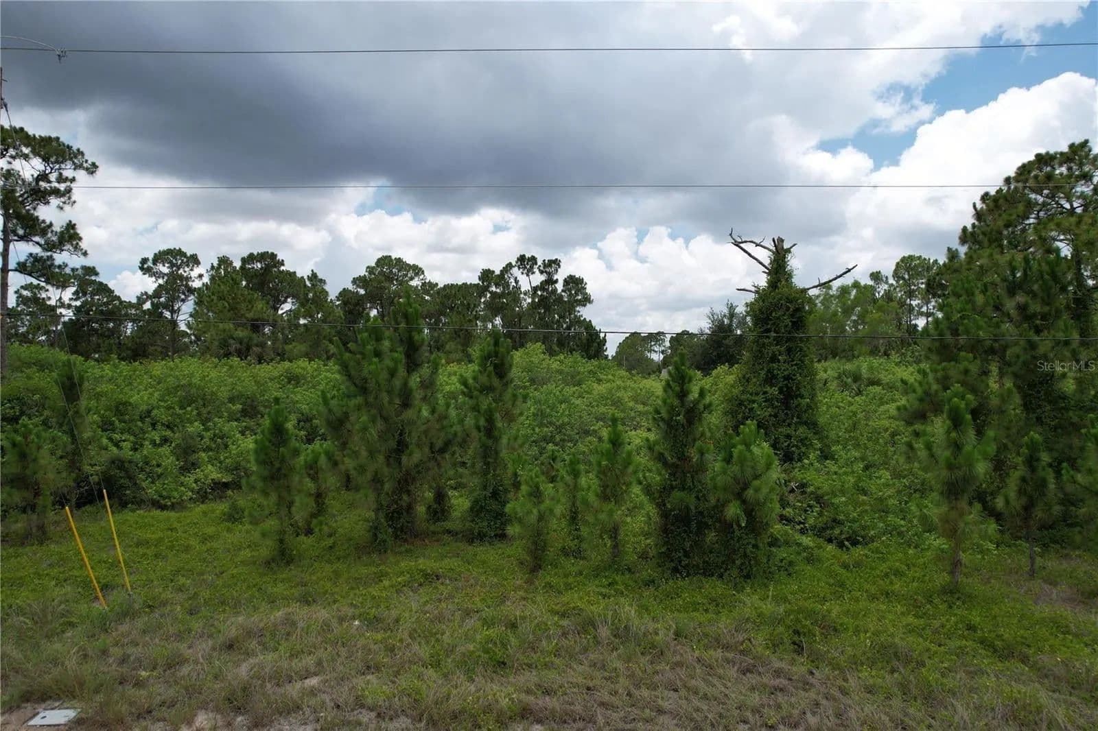 Lots & Land-Other in LEHIGH ACRES - Lehigh Acres, Florida, 33974