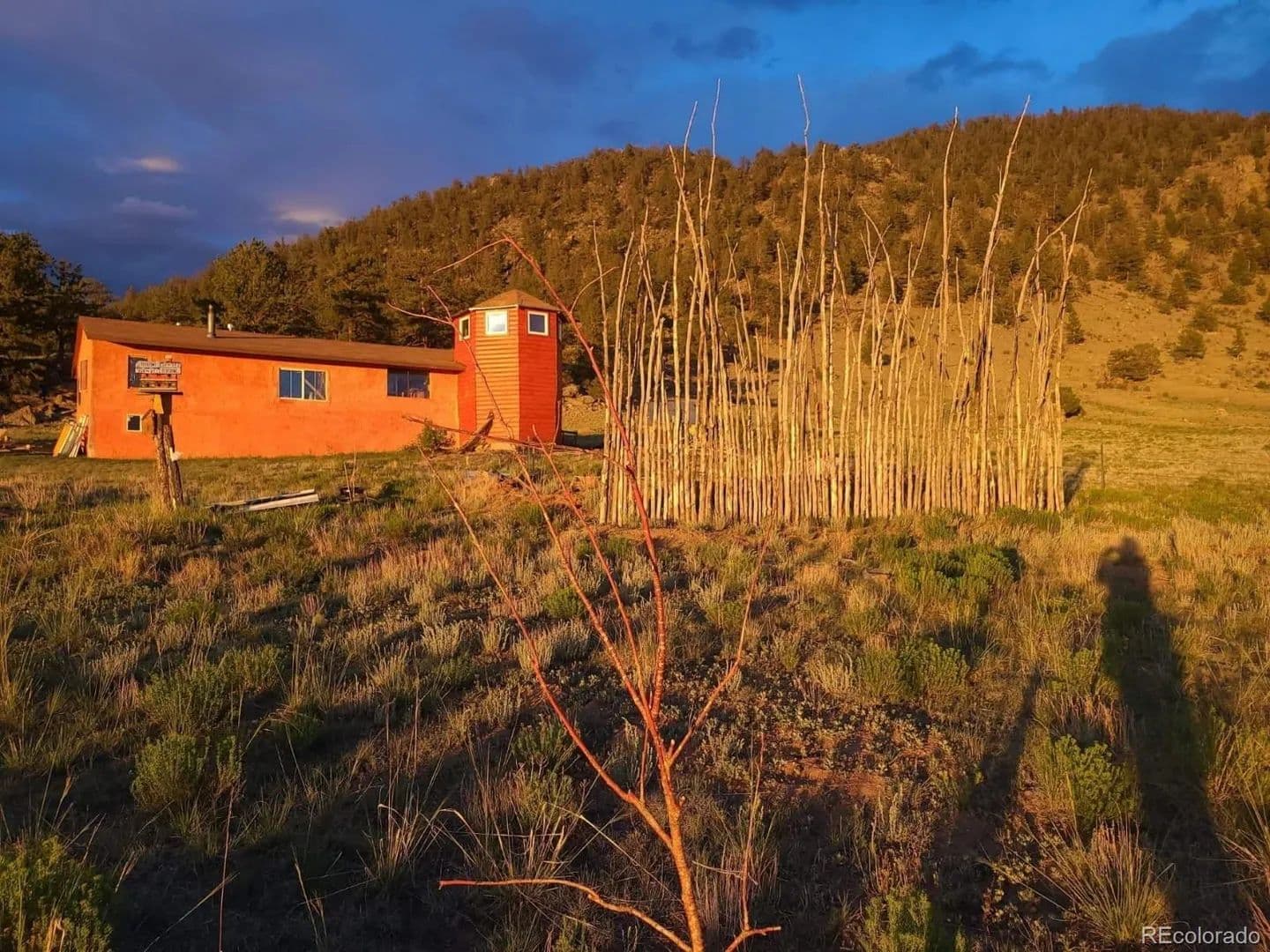 40 Acres of Land for Sale in Lake George, Colorado - Lake George, Colorado, 80827
