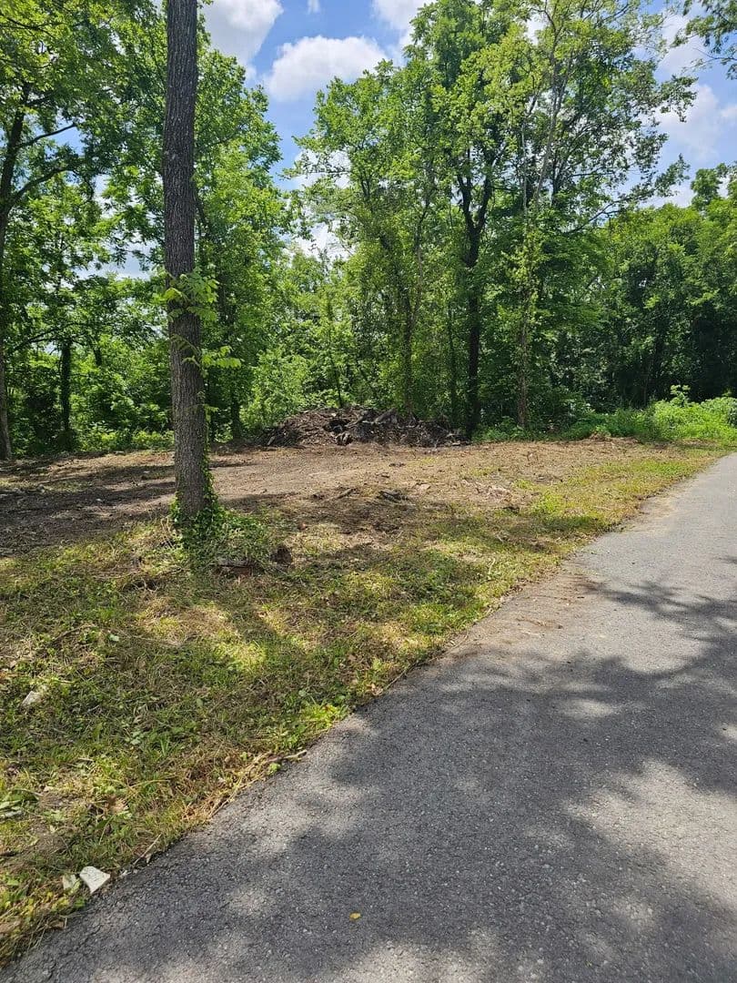 Land for Sale in Bell Buckle, Tennessee - Bell Buckle, Tennessee, 37020