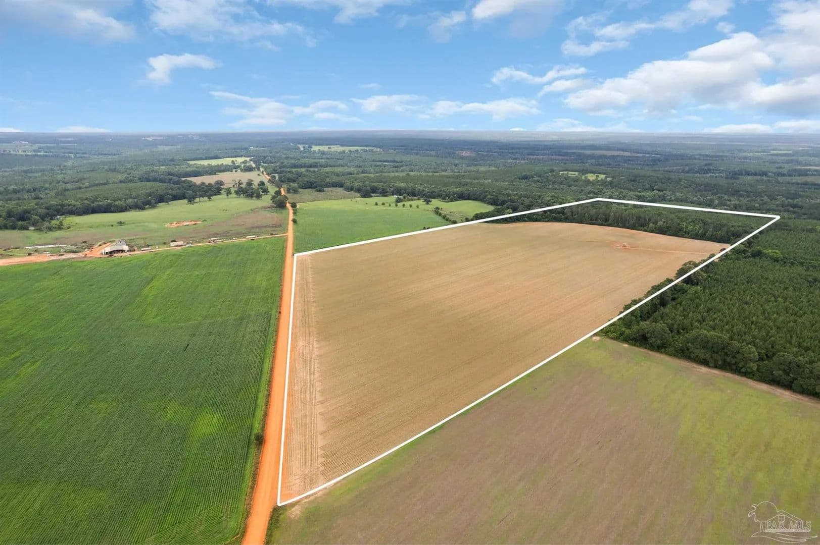 76 Acres of Land for Sale in Repton, AL - Repton, Alabama, 36475