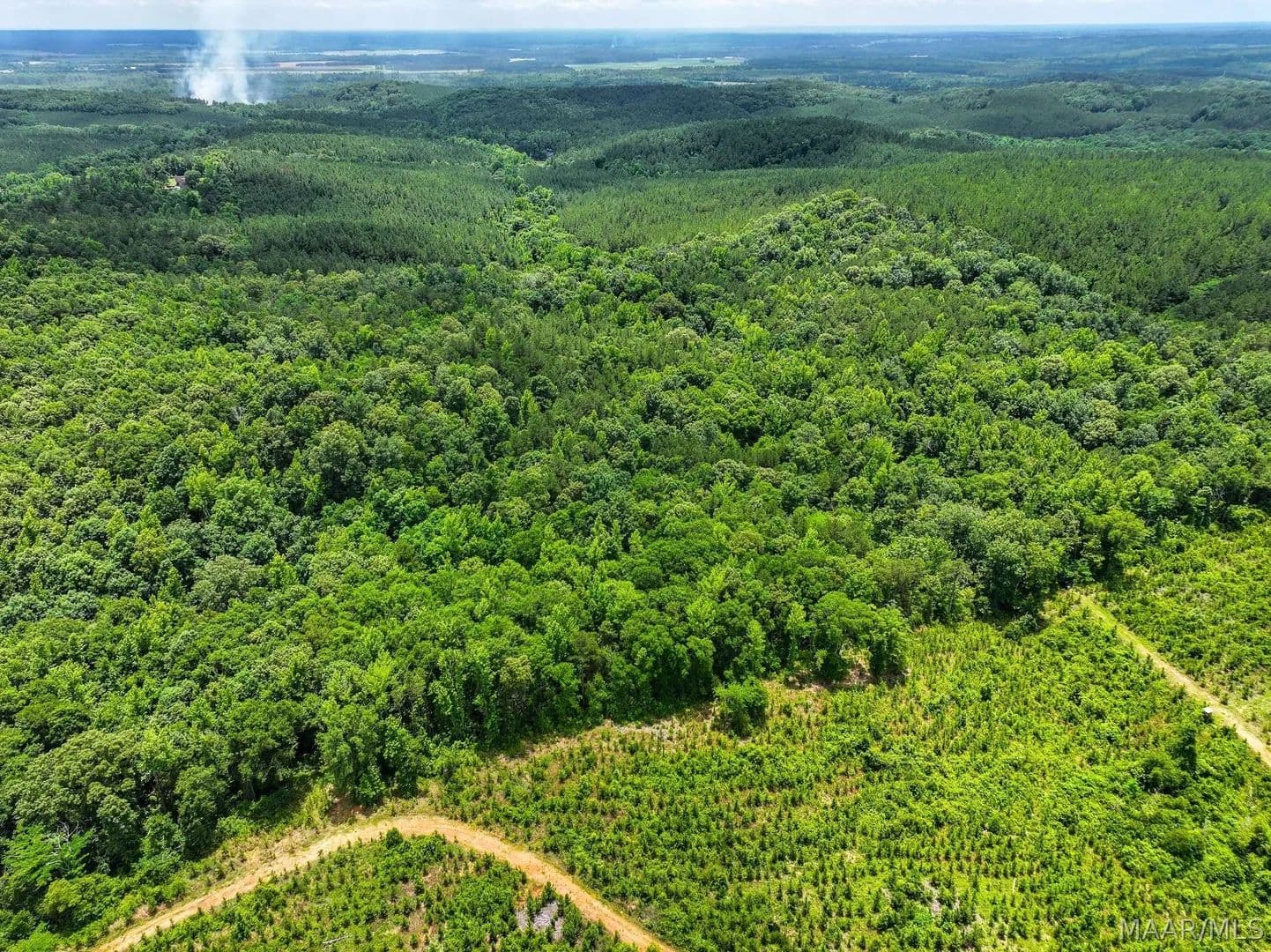 40 Acres of Land for Sale in Prattville, Alabama - Prattville, Alabama, 36067