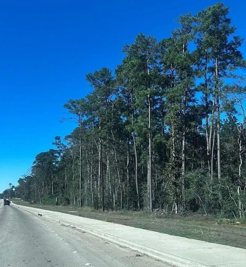Property from 15909 Highway 105 E - KW - Conroe, Texas, 77306