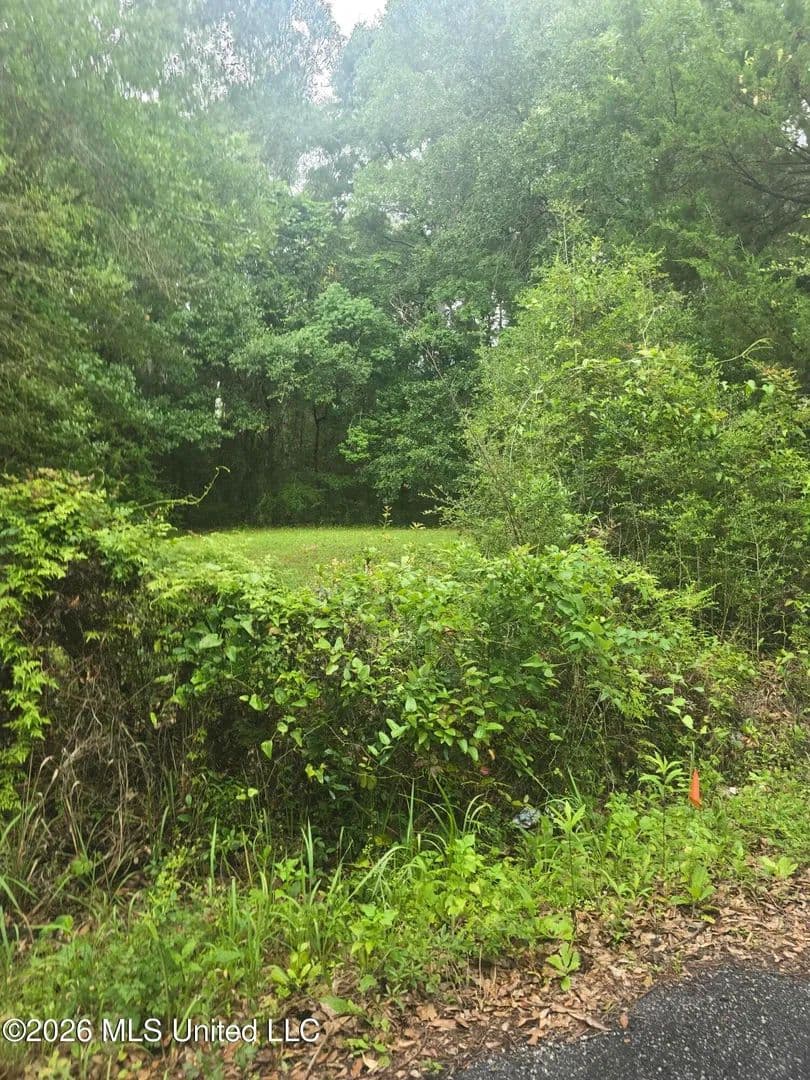 Property from Elder Ferry Road - KW - Moss Point, Mississippi, 39563