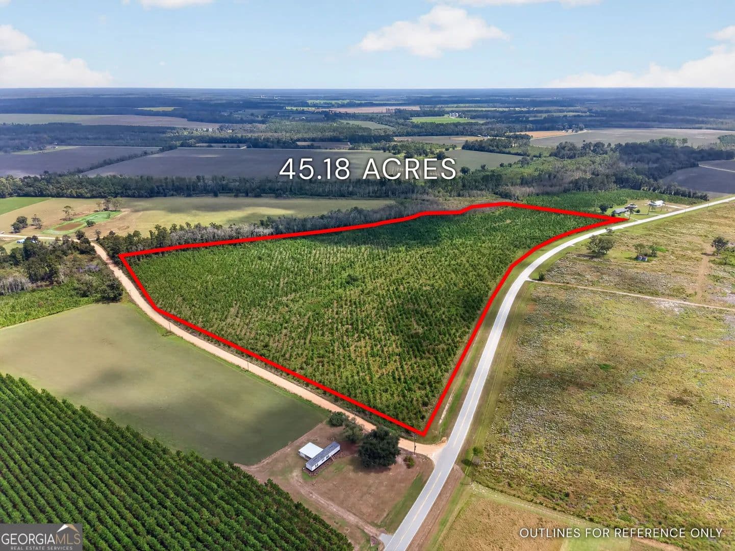 45 Acres of Land for Sale in Blackshear, GA - Blackshear, Georgia, 31516