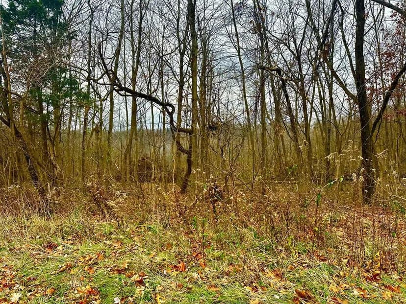 Lots & Land-Other in Bainbridge