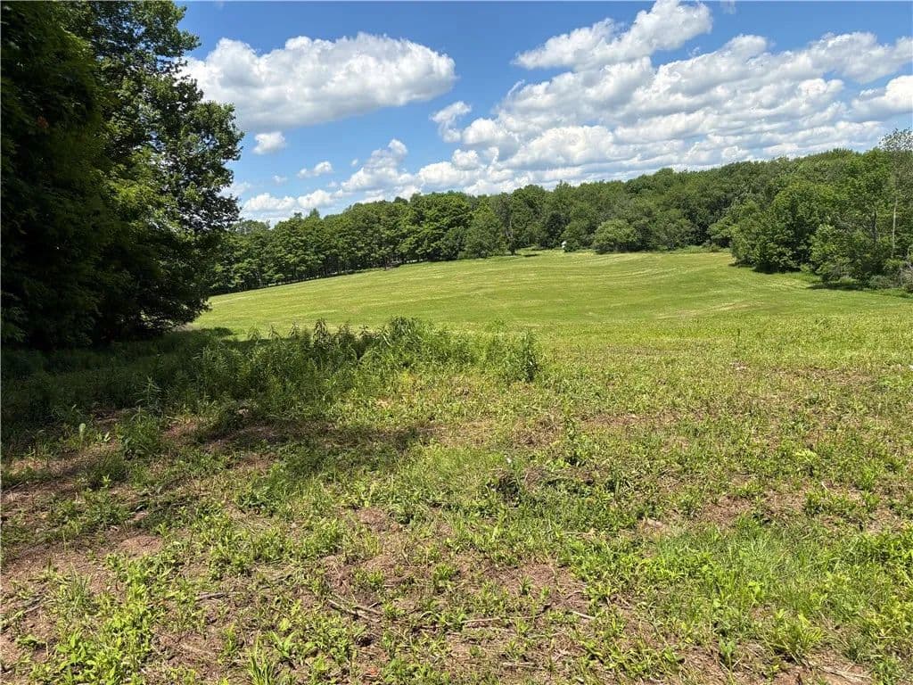 63 Acres of Land for Sale in Norwich, NY - Norwich, New York, 13815