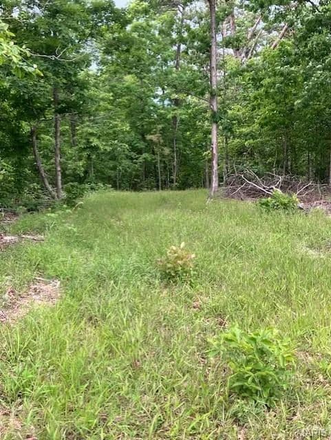 Property from 238 Madison CR 410 - KW - Fredericktown, Missouri, 63645