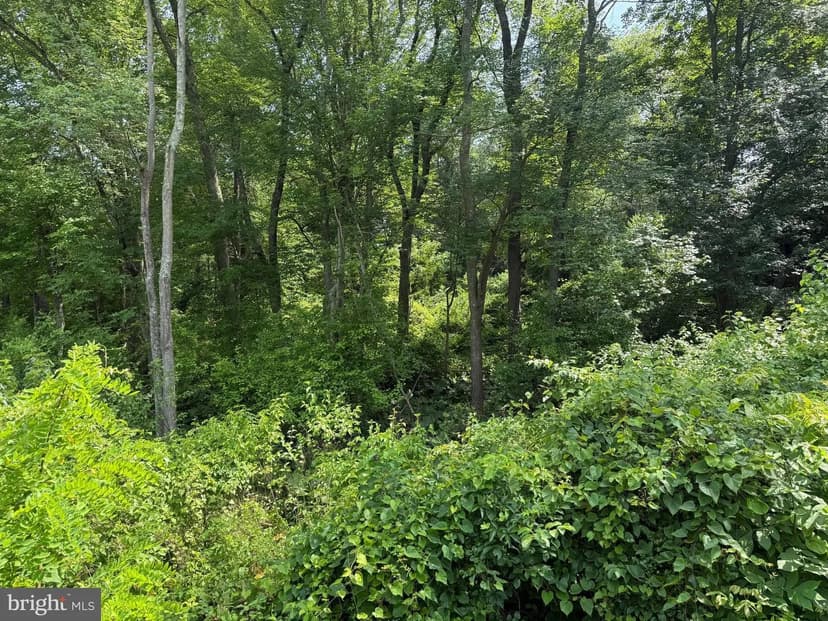 Property from 23 CREEK ROAD - KW