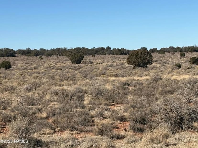 Lots & Land-Other in Williams