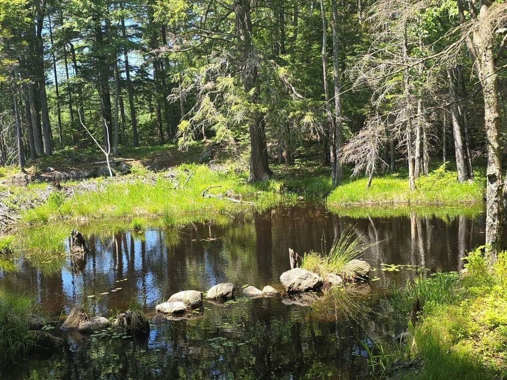 Property from Baine Road - KW - Alstead, New Hampshire, 3602