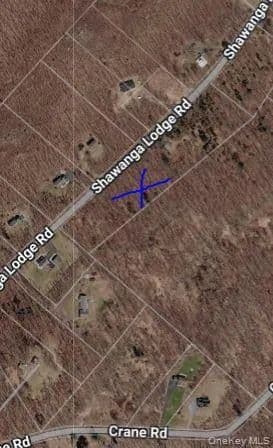 Land for Sale in Bloomingburg, NY - Bloomingburg, New York, 12721