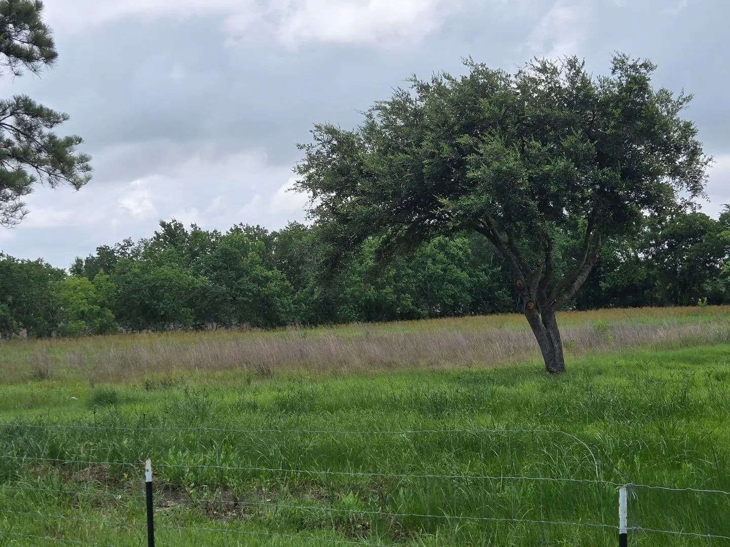 7 Acres of Land for Sale in Pearland, Texas - Pearland, Texas, 77511