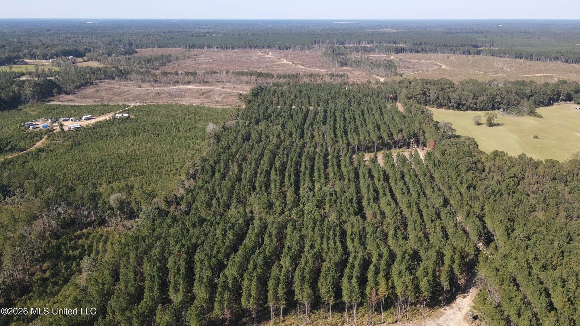 Property from Loyd Irby Road - KW - Pelahatchie, Mississippi, 39145