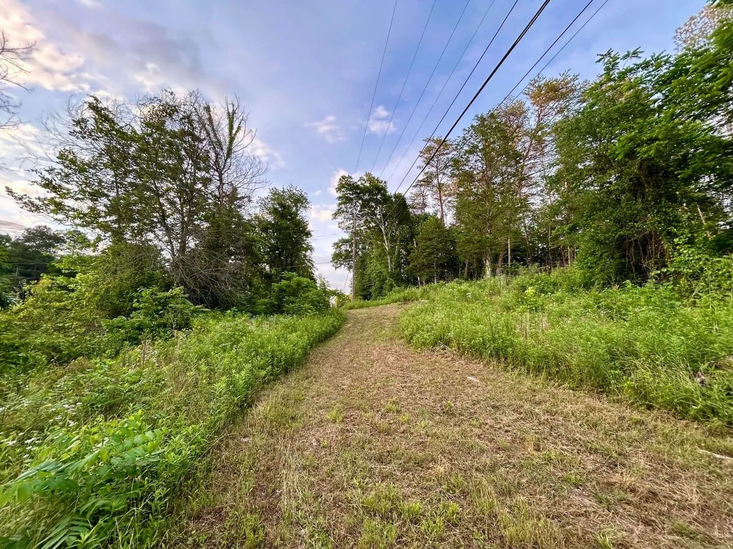 Property from Lot 2 Parksville Road - KW - Benton, Tennessee, 37307