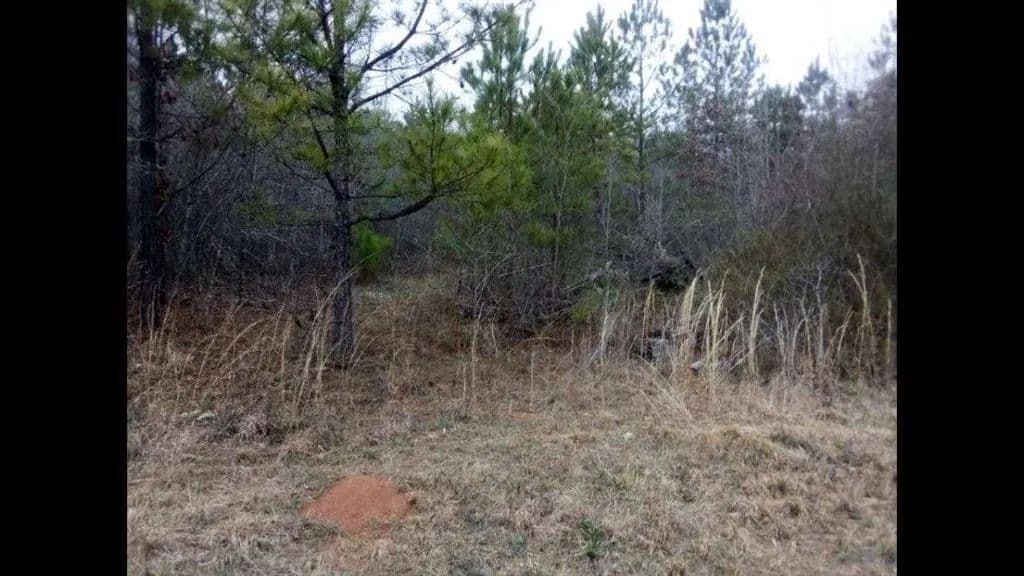 0.4 Acres of Land for Sale in Woodbury, Georgia - Woodbury, Georgia, 30293