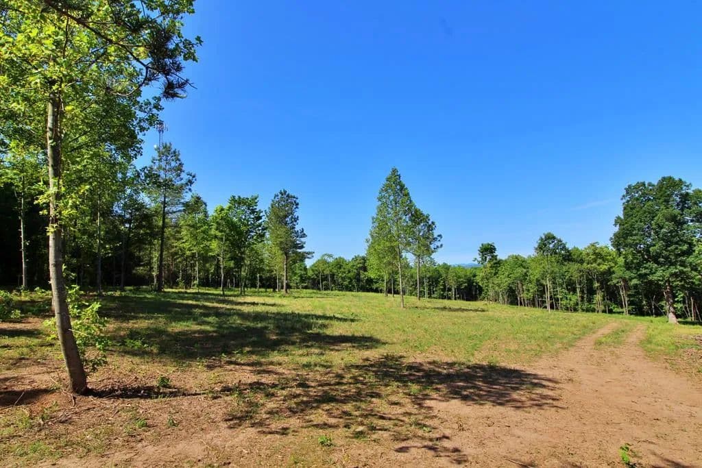 Property from Tower Hill Rd - KW - Appomattox, Virginia, 24522