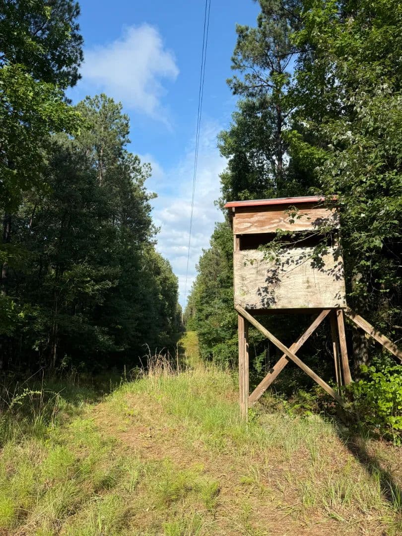50 Acres in Attala County, MS - Mccool, Mississippi, 39108