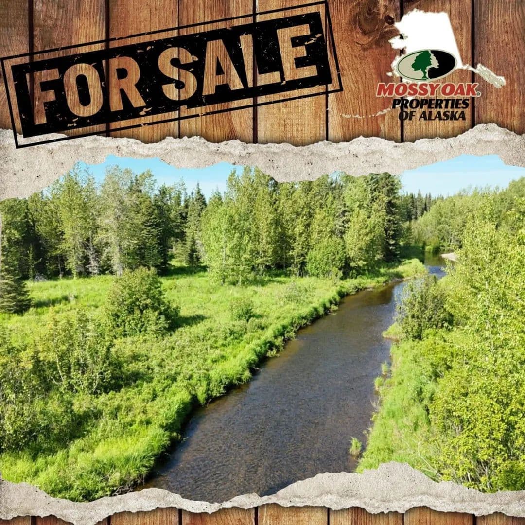 47ac & Mi 3 North Fork Anchor River Frontage - Anchor Point, Alaska, 99556