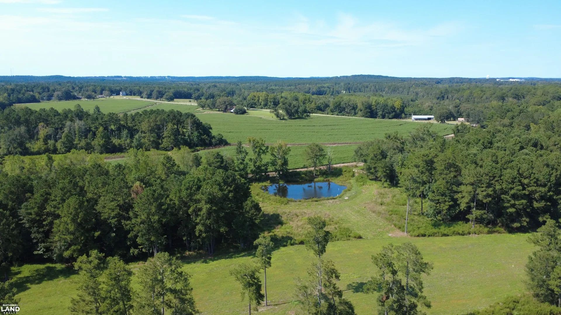 Mixons Row Crop & Cattle Farm - New Brockton, Alabama, 36351