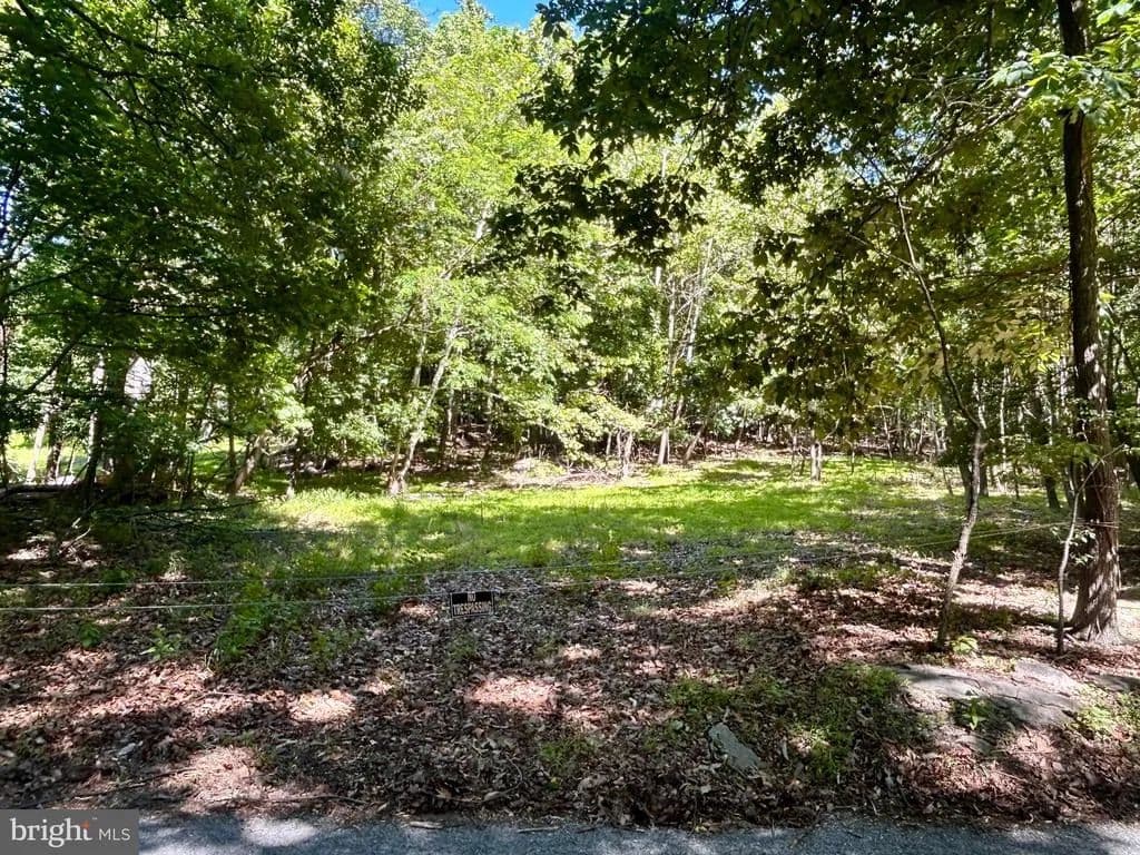 10.92 Acres of Land for Sale in Knoxville, Maryland - Knoxville, Maryland, 21758