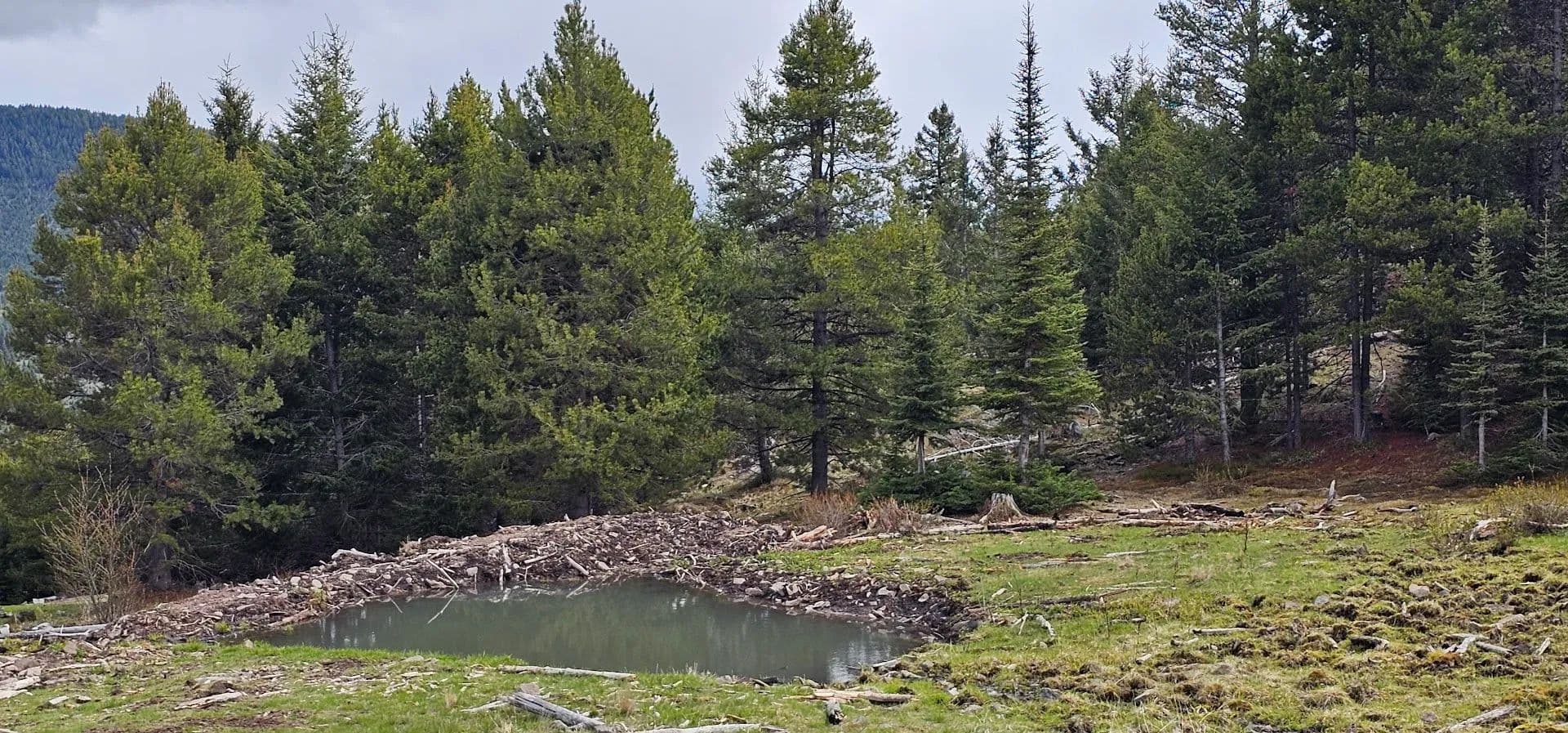 160 Acres of Land for Sale in Drummond, MT - Drummond, Montana, 59832