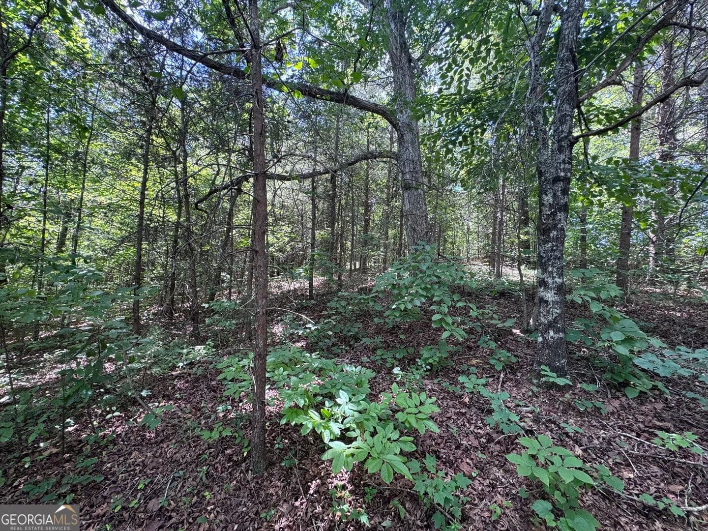 1.67 Acres of Land for Sale in Toccoa, Georgia - Toccoa, Georgia, 30577
