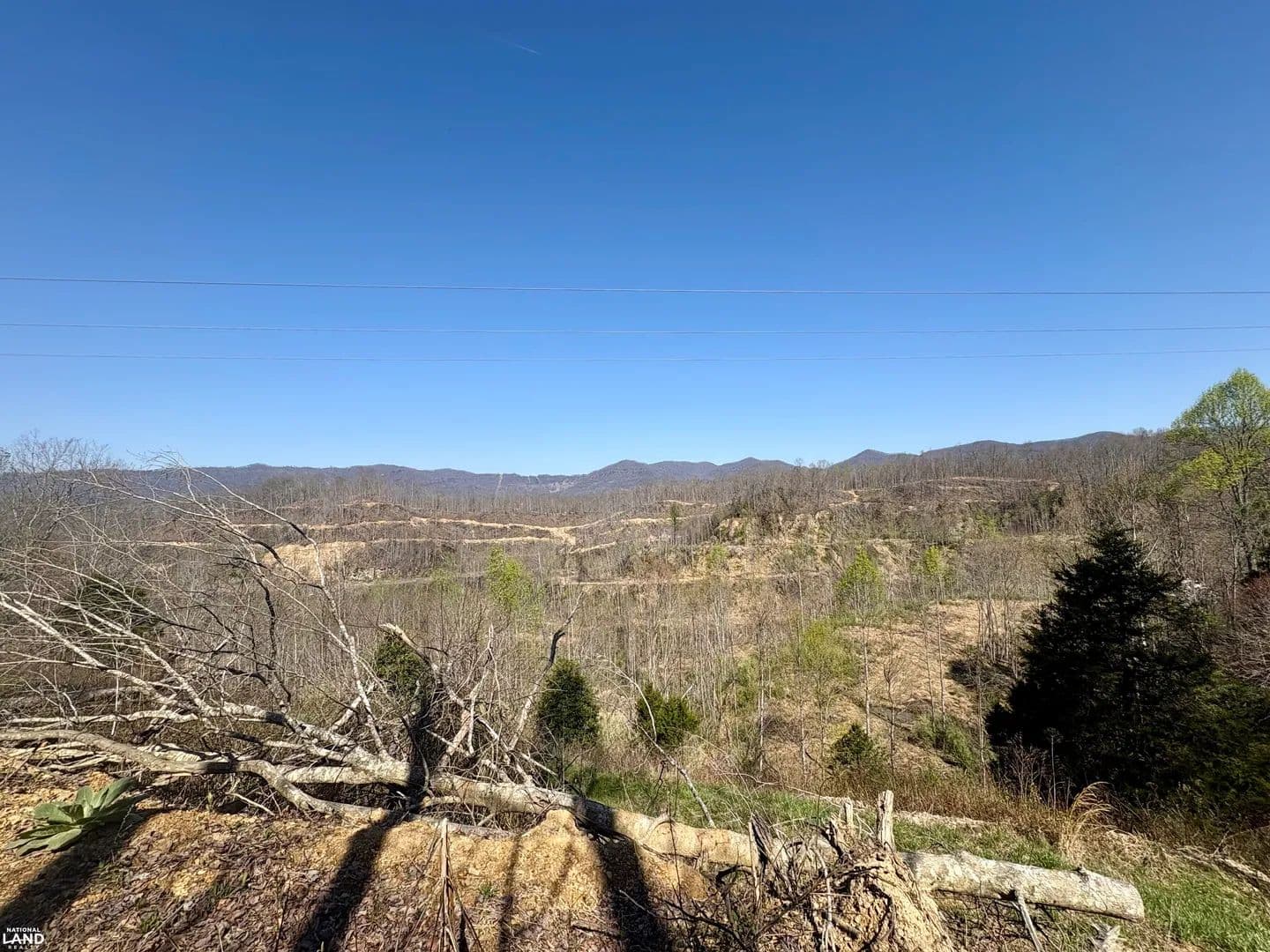 Wooded Acreage near Saint Charles - Saint Charles, Virginia, 24282