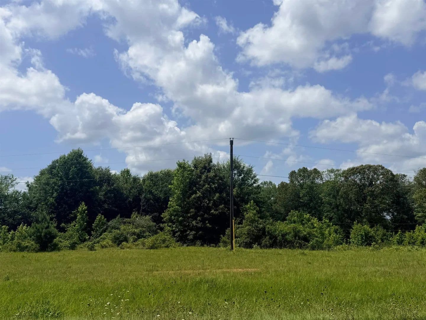 30 Acres of Land for Sale in Carthage, Texas - Carthage, Texas, 75633