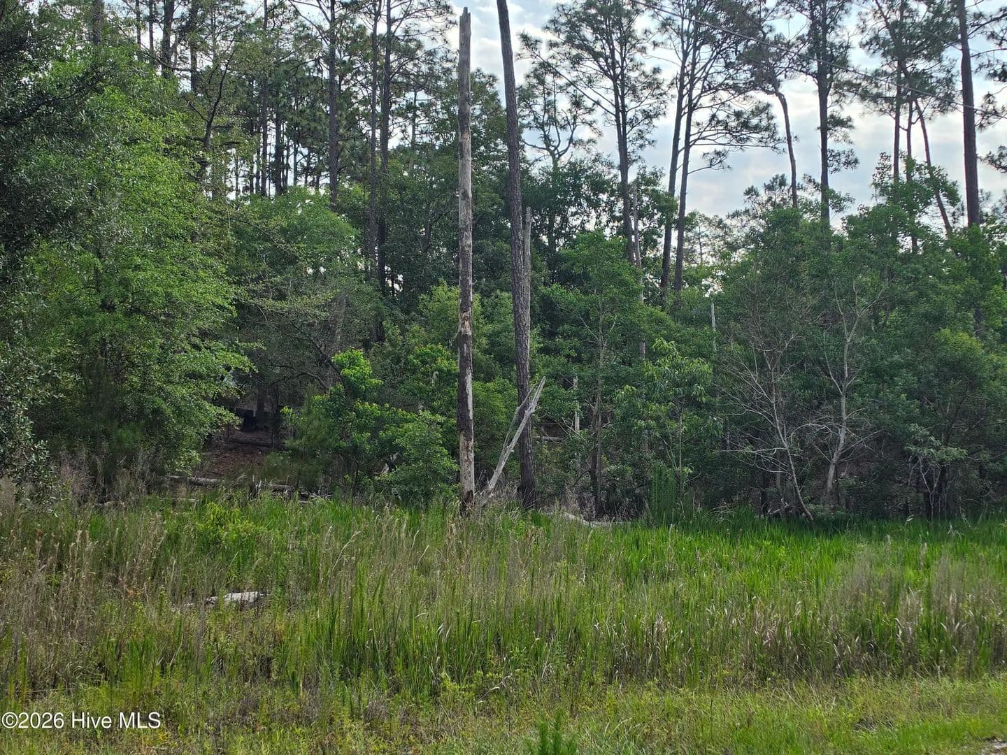 Property from 1700 Raeford Road - KW - Southport, North Carolina, 28461